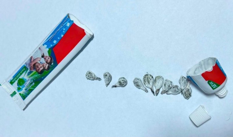 Təcridxanaya diş məcununun içində marixuana keçirmək istədi