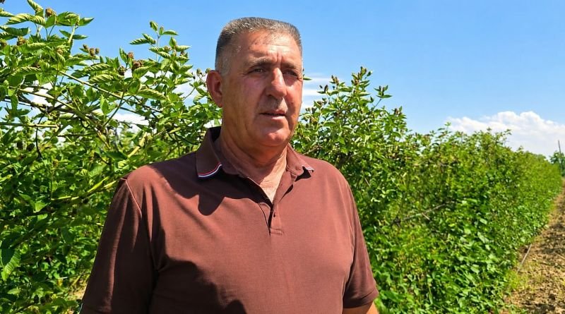 “Bu sahəyə yönəlməyə dəyər” – Babəkli sahibkar