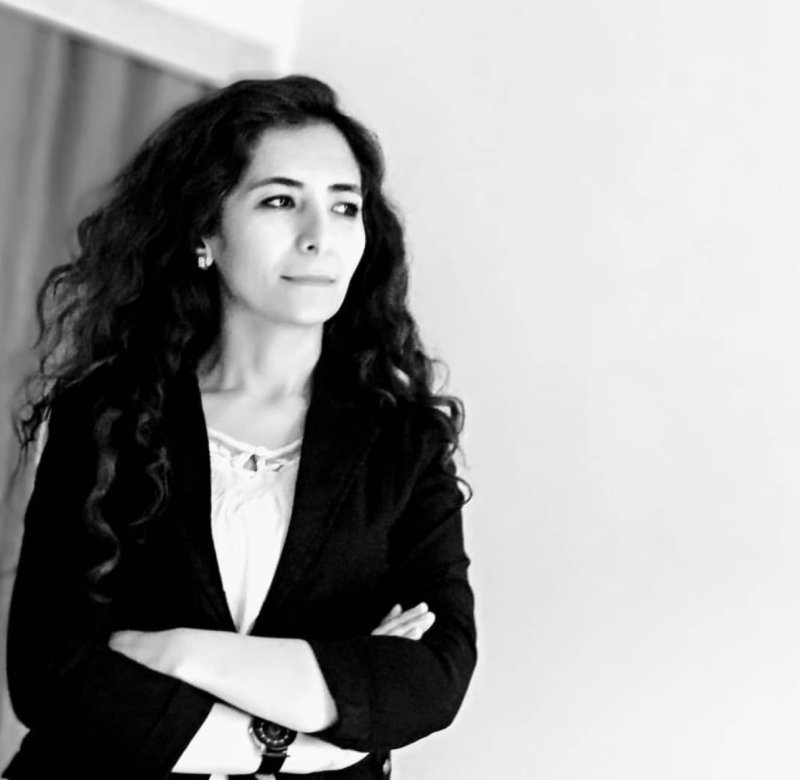 Efir terroruna qarşı hüquqi sədd: