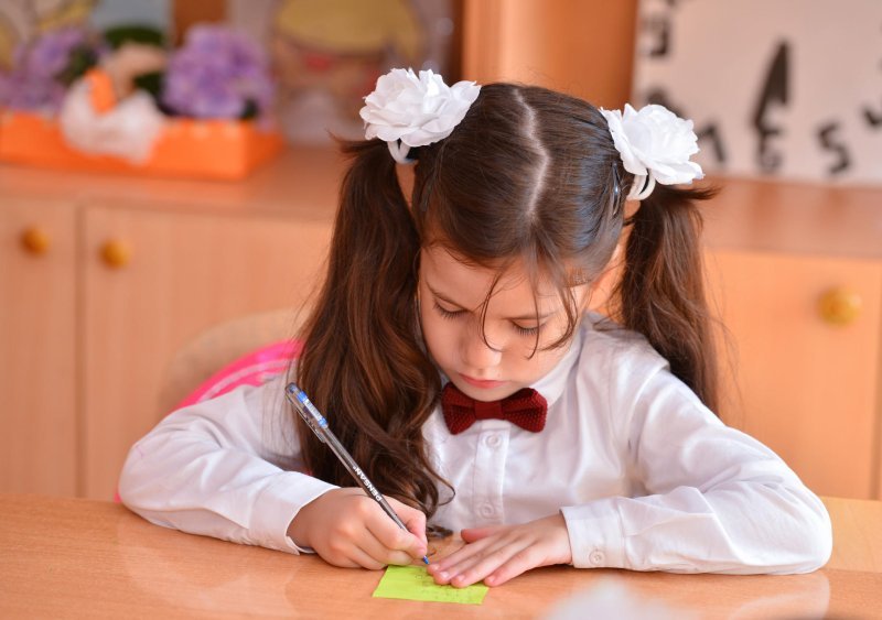 I sinfə qəbul üçün elektron sistem vasitəsilə sorğu yaradanların sayı açıqlandı