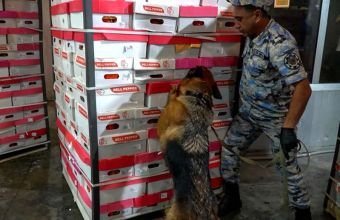 İrandan Rusiyaya bibərlərin arasında narkotik aparmaq istədilər -