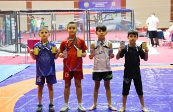 Naxçıvan idmançıları LFC turnirində 43 medal qazanıblar
