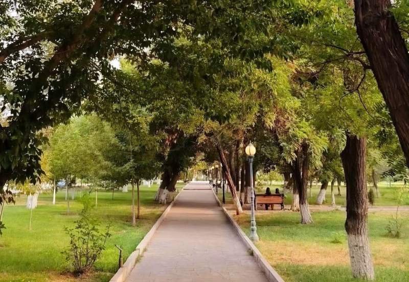 Naxçıvanda havanın temperaturu 36°C-dək yüksəlib