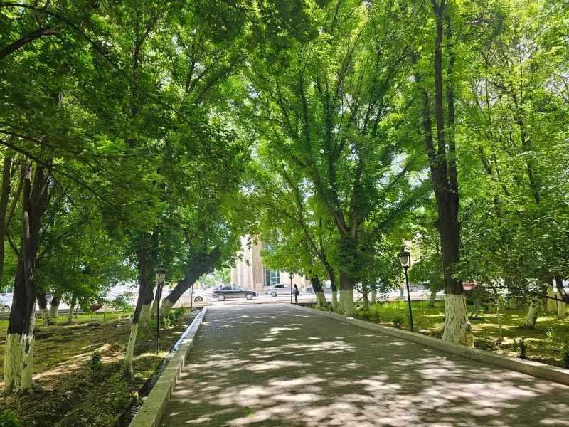 Naxçıvanda növbəti 2 gün hava necə olacaq?