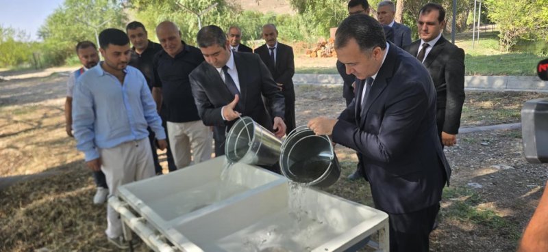Naxçıvanda yeni fəaliyyətə başlayan balıqçılıq və akvakultura müəssisələrinə baxış keçirilib -