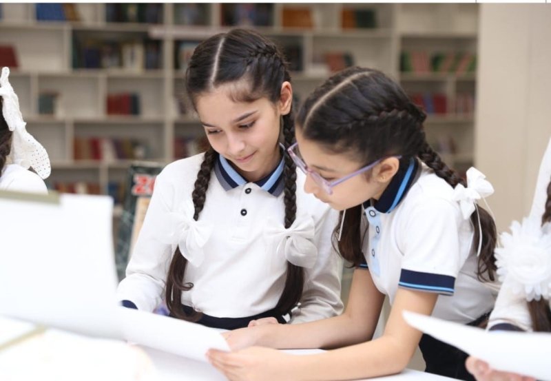 Yeni təmayüllü məktəblərin məzunlarının qəbul nəticələri açıqlanıb