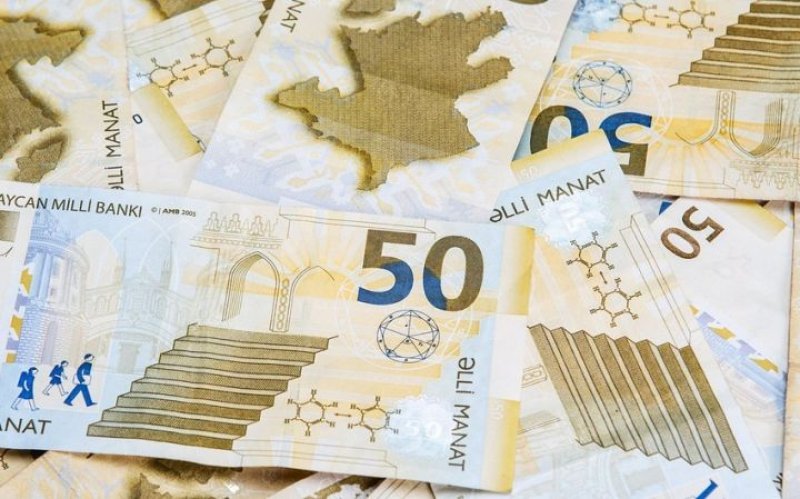 8 ayda dövlət büdcəsindən 224,2 milyon manat geri qaytarıldı
