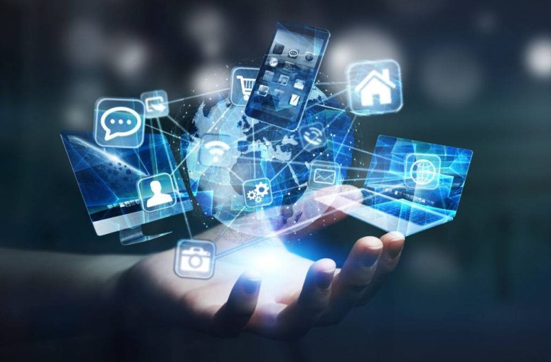 Azərbaycanda peşə qrupları üzrə internet istifadəçilərinin strukturu açıqlanıb