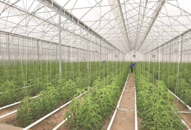 Əkin və bağçılıq subsidiyası üzrə sığorta tələbləri yenilənib
