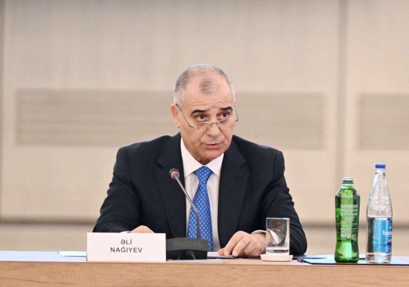 Əli Nağıyev: Vətəndaşların müxtəlif yollarla hərbi əməliyyatlara muzdlu döyüşçü qismində cəlbi ciddi təhdiddir