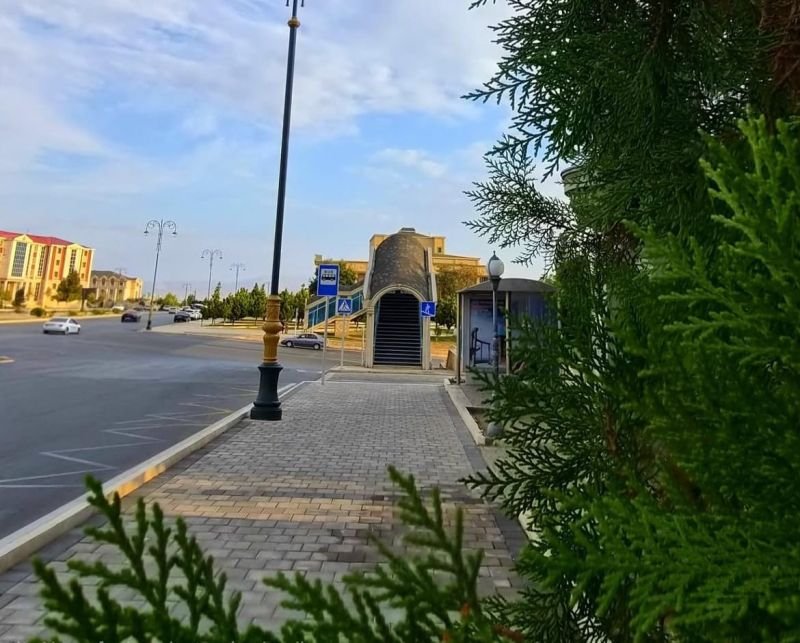Naxçıvanda küləkli hava şəraiti ilə bağlı sarı xəbərdarlıq elan edilib