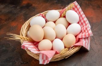 Naxçıvanda yumurta istehsalçılarına subsidiya veriləcək
