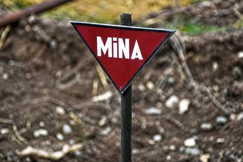 Ötən həftə 1706,4 ha ərazi minalardan təmizlənib