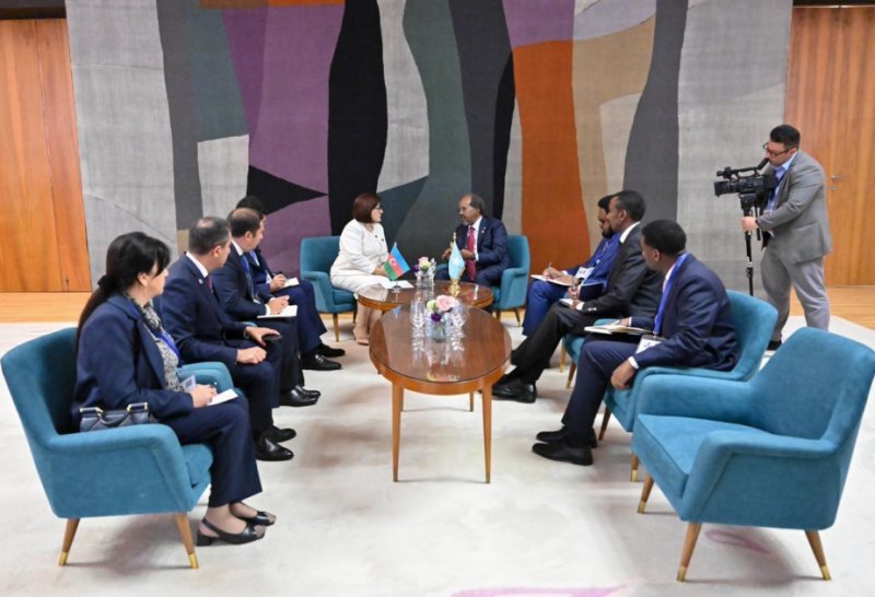 Sahibə Qafarova Somali Prezidenti ilə görüşüb