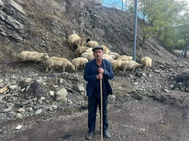 Ağdərə, Ağdam, Xocalı, Cəbrayıl, Xocavənd və Laçında sakinlər qoyunçuluq təsərrüfatı yaradıb