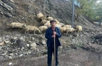 Ağdərə, Ağdam, Xocalı, Cəbrayıl, Xocavənd və Laçında sakinlər qoyunçuluq təsərrüfatı yaradıb