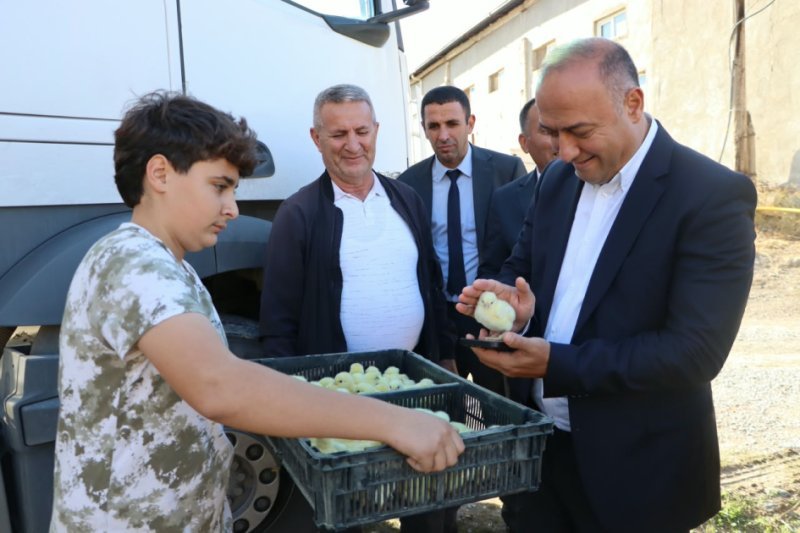 Azad Cəfərli Şahbuz rayonunda vətəndaşlarla görüşüb -