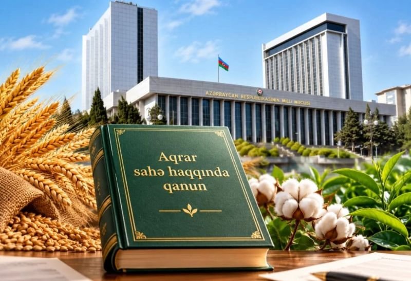 Azərbaycanda aqrar sahə ilə bağlı yeni qanun layihəsi hazırlanıb