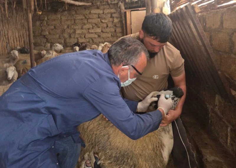 Baytarlıq xidmətlərinin gücləndirilməsi davam etdirilir
