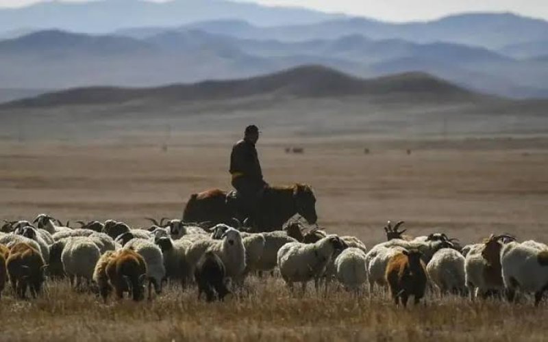 Ermənistana keçən azərbaycanlı çobanın adı açıqlandı