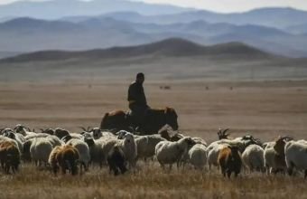 Ermənistana keçən azərbaycanlı çobanın adı açıqlandı