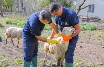 İşğaldan azad olunmuş ərazilərdə sahə görüşləri davam etdirilir