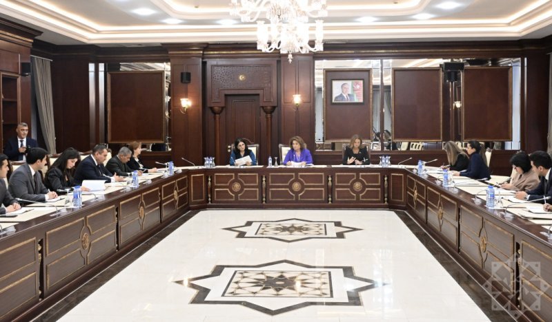 Milli Məclisin Ailə, qadın və uşaq məsələləri komitəsinin iclası keçirilib