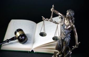 Müqavilə azadlığı prinsipi nədir? -