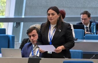 Naxçıvan Ali Məclisinin deputatı Avropa Şurasının rəhbər orqanına üzv seçilib
