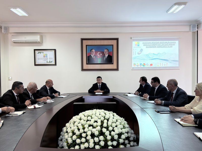 Naxçıvanda qeyri-filiz faydalı qazıntı yataqlarının istismarından büdcəyə daxil olan vəsait açıqlanıb