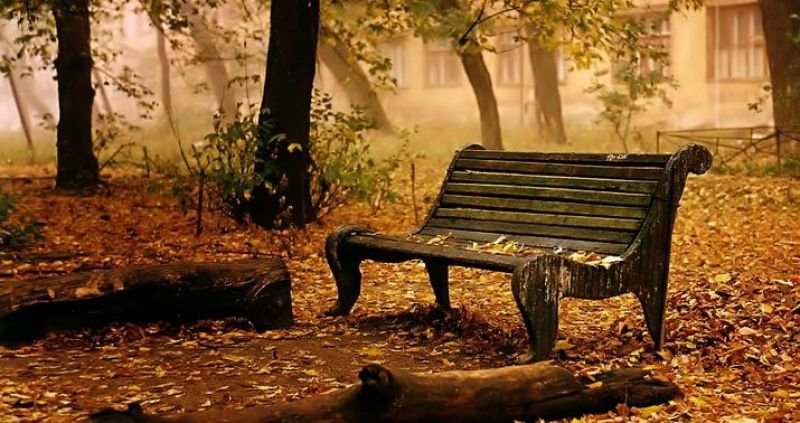 Ordubad və Sədərəkdə yağışlı hava müşahidə edilib