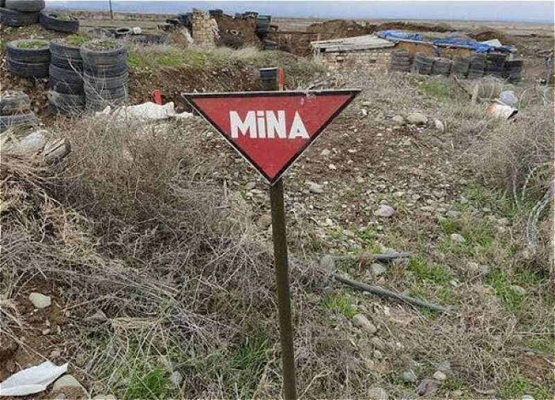 Ötən həftə 997 hektar ərazi minalardan təmizlənib