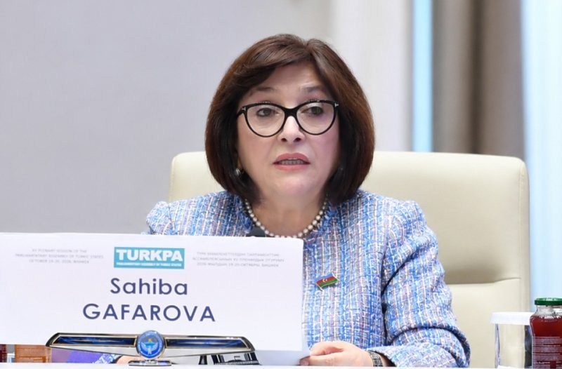 Sahibə Qafarova TÜRKPA-nın 15-ci plenar iclasında çıxış edib